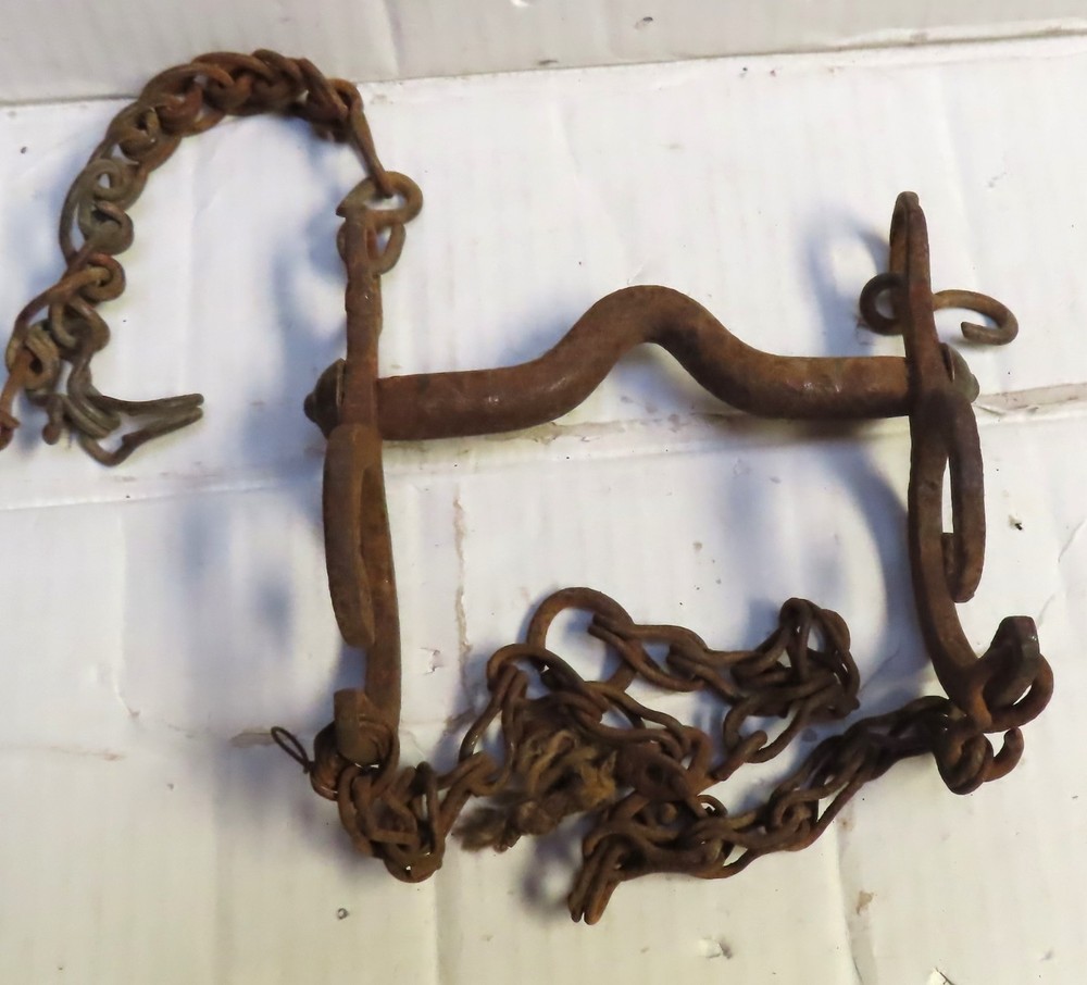 Antique Straight Bit with Big Circle Snakes on Sides