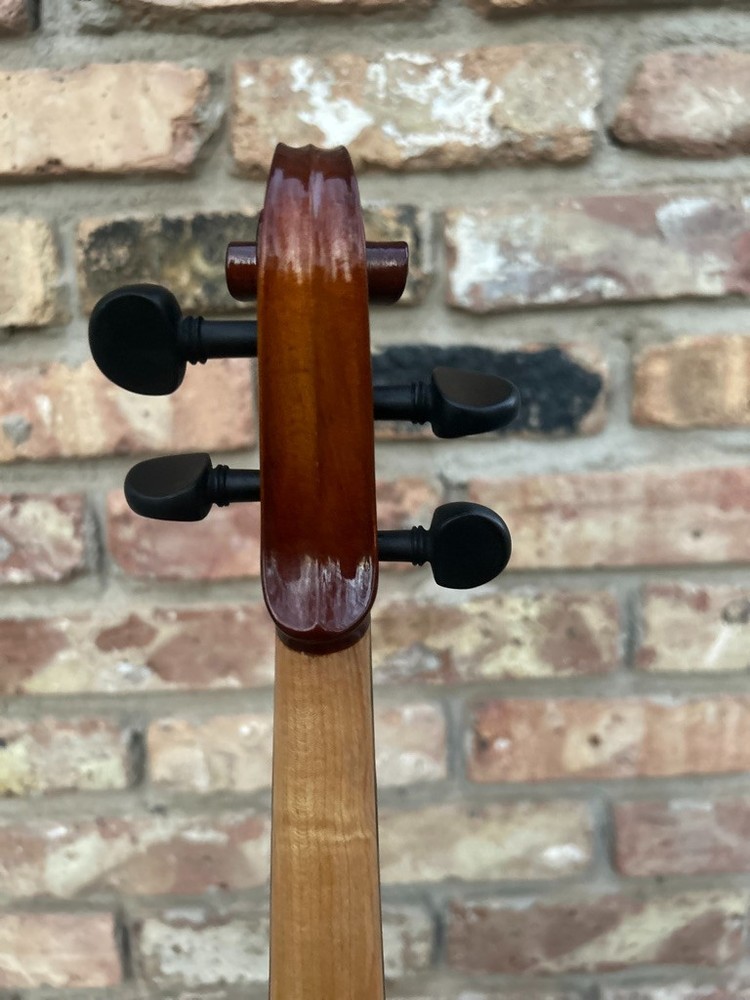 Maestro violin with two bows