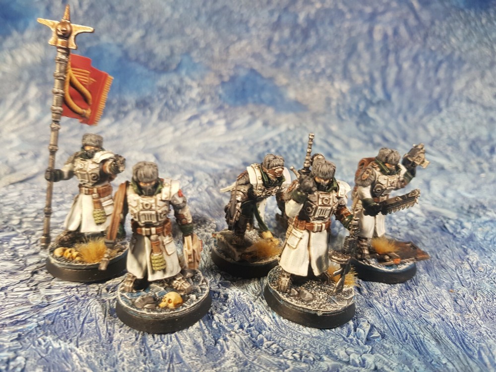 Ice Warriors Command Guard of the Imperial Force