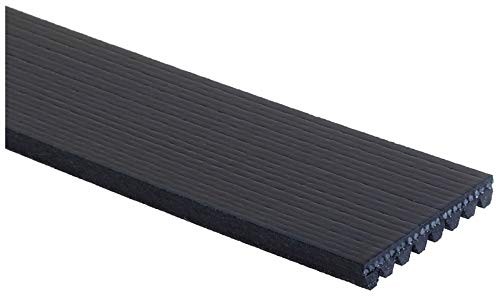 K081264 Belt