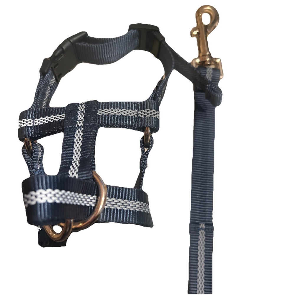 Barkless Headcollar Seatbelt Small🐶🐶🐶🐶🐶