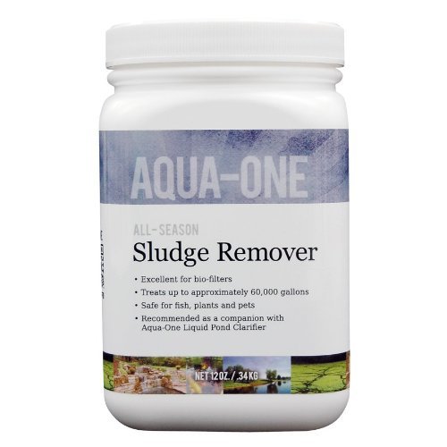 Alpha BioSystems Sludge and Odor Remover Dry, 12oz