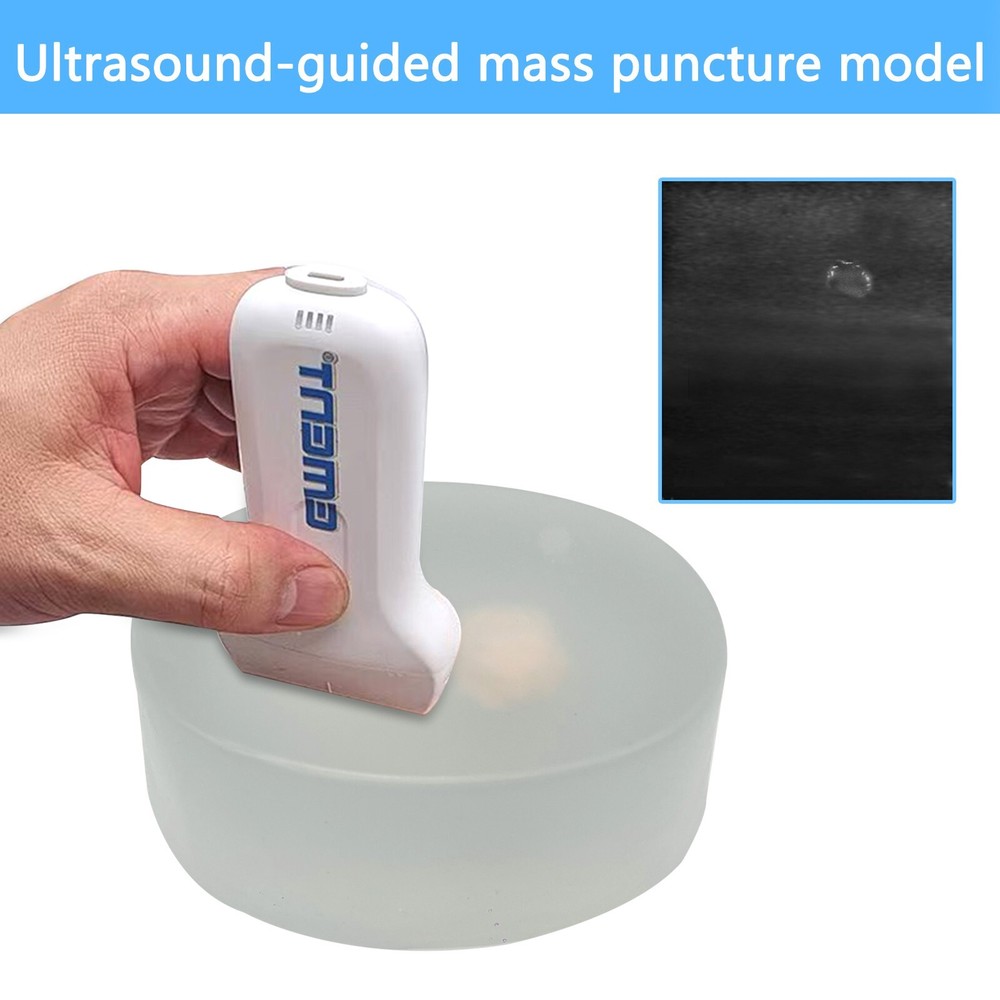 1PCS Ultrasound Guided Mass Puncture Model,  Beginner's Mass Puncture Training