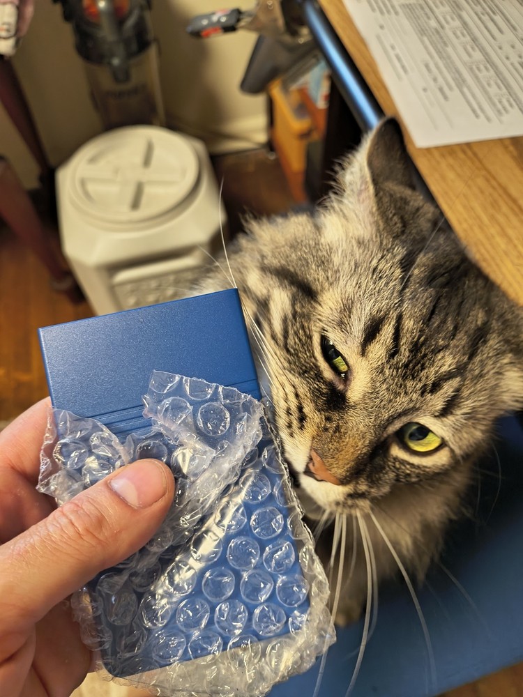 Texas Instruments TI-108 Elementary School Calculator NEW