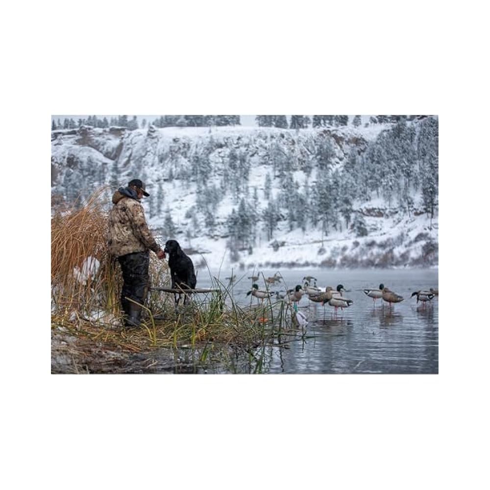 Dog Training Platform, Adjustable Elevated Stand, 150 lb Capacity, for Hunting