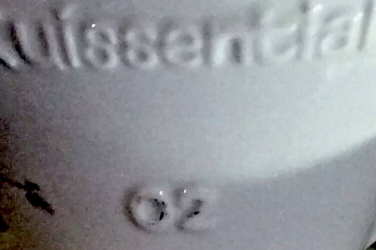 white porcelain coffee filter - Kuissential 02 - EUC