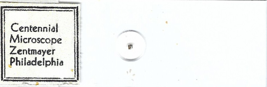 Centennial Microscope Zentmayer Philadelphia Microphotograph Microscope Slide