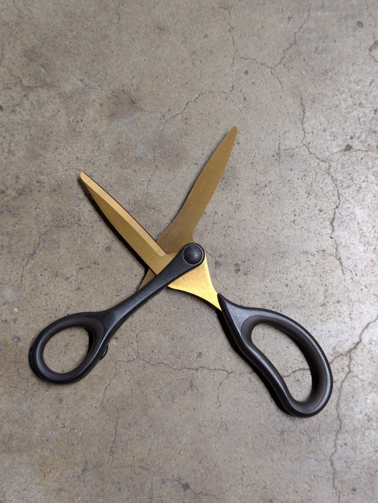 Raymay SH120 Japanese Swing Cut Special Scissors Offset Angle Titanium Coated