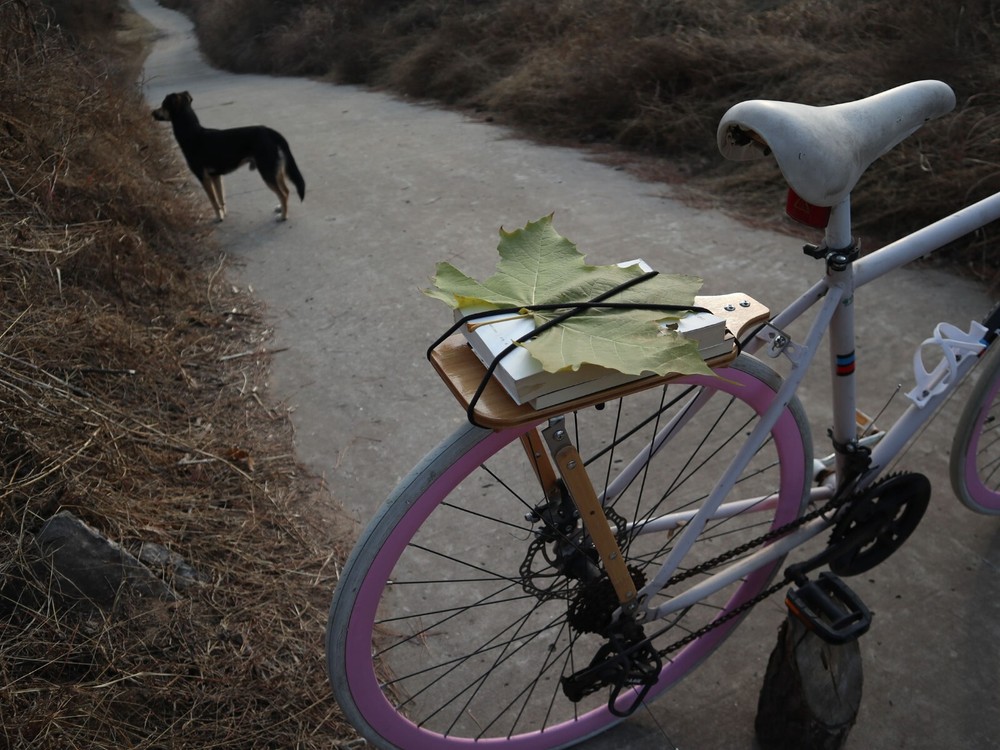 Custom Bamboo Bicycle Rear Rack With Bungee Cords