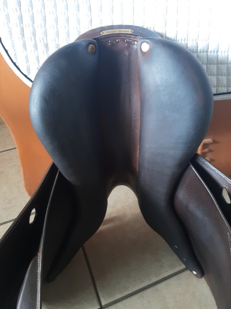 Antares Evolution Jump Saddle 17.5"