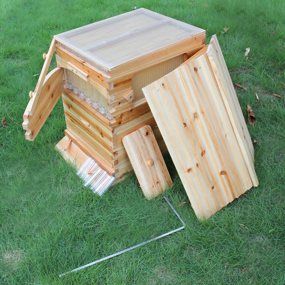 Cedarwood Auto Seep Bee Hives Bee House Boxes + 7 Plastic Beekeeping Frames Gift