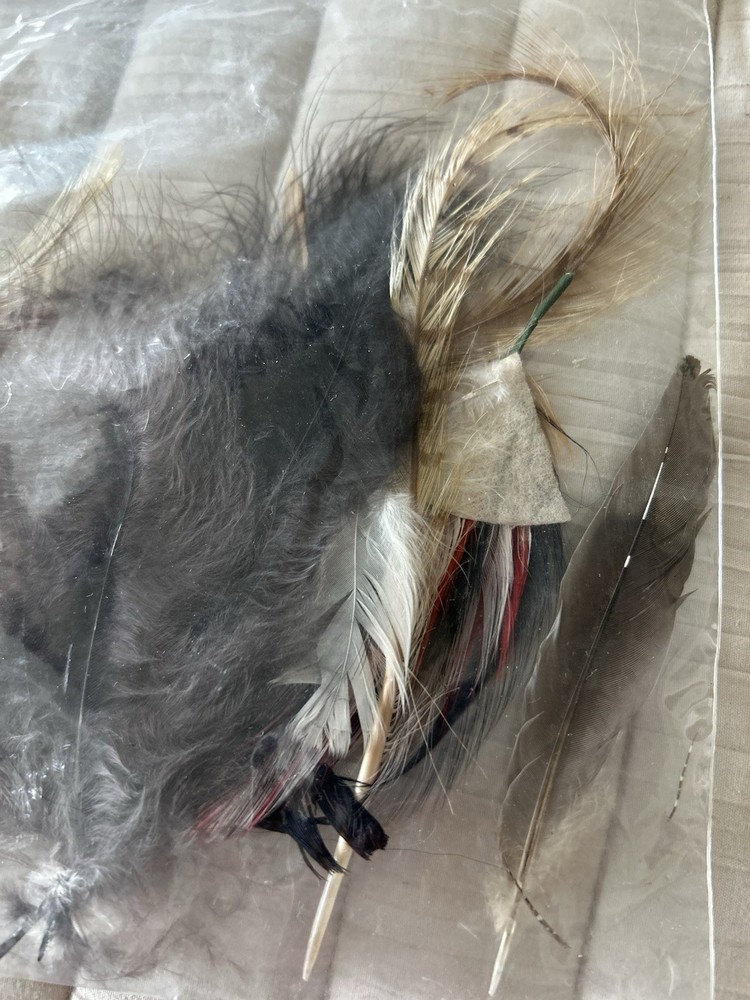 All Natural Feather Assortment Primarily Pheasant Feathers For Crafting