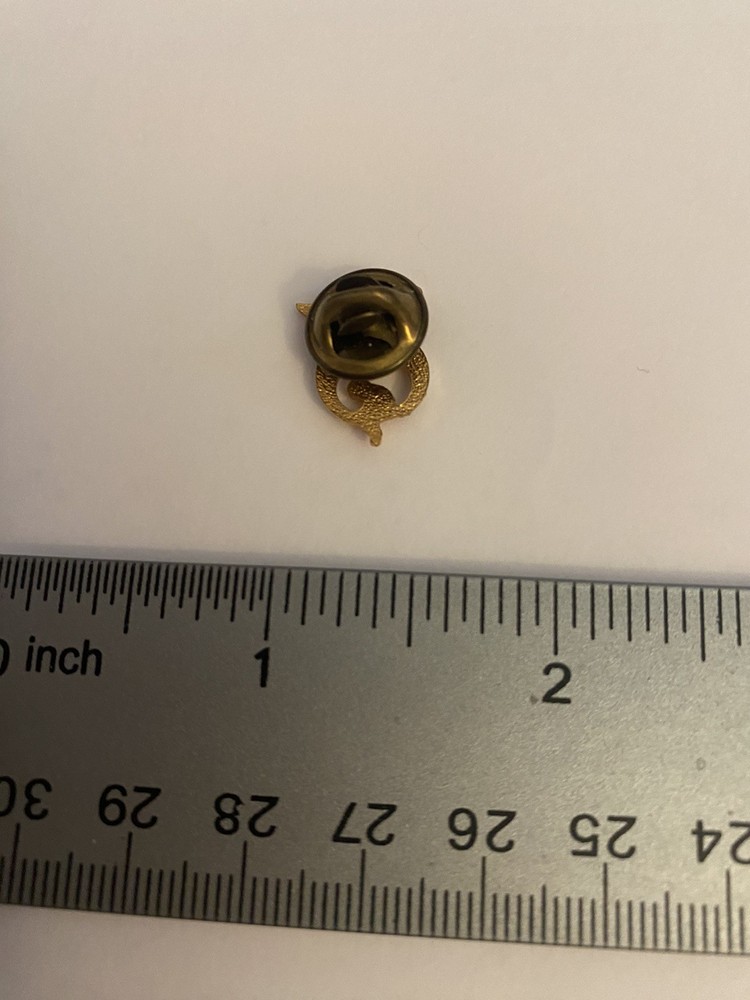 Shriners Lapel Pin P178
