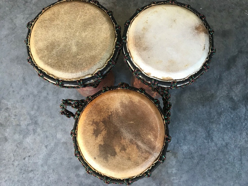 Djembe Beginner Plain,12" tall, 6.5-7" head