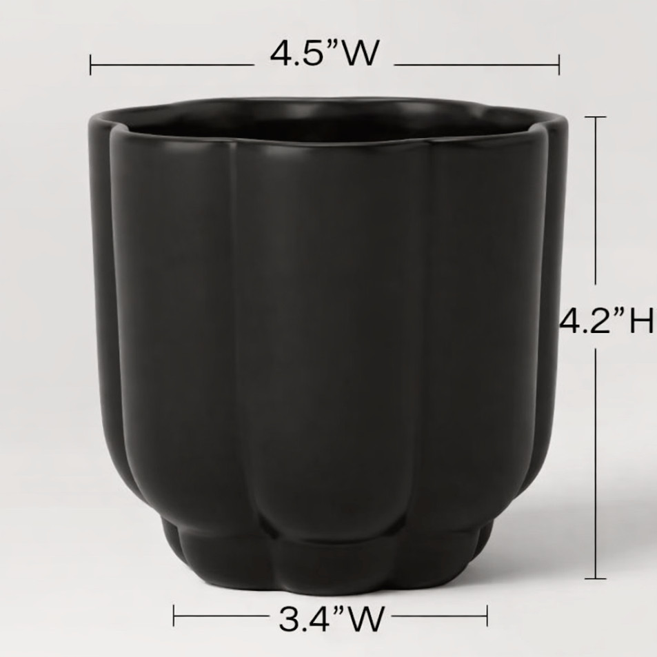 Scallop Planter Black - Room Essentials™