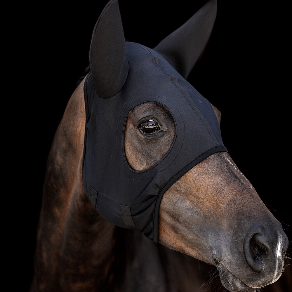 Titanium Mask Come Best With Ears