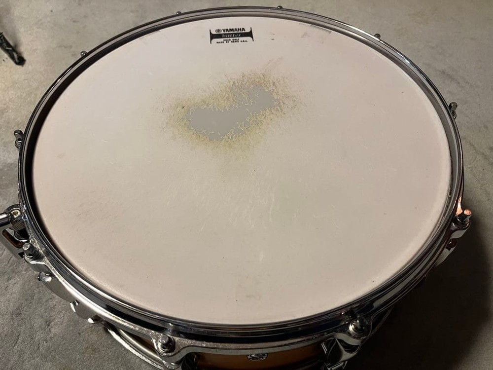 YAMAHA Absolute Hybrid Maple 14 inch