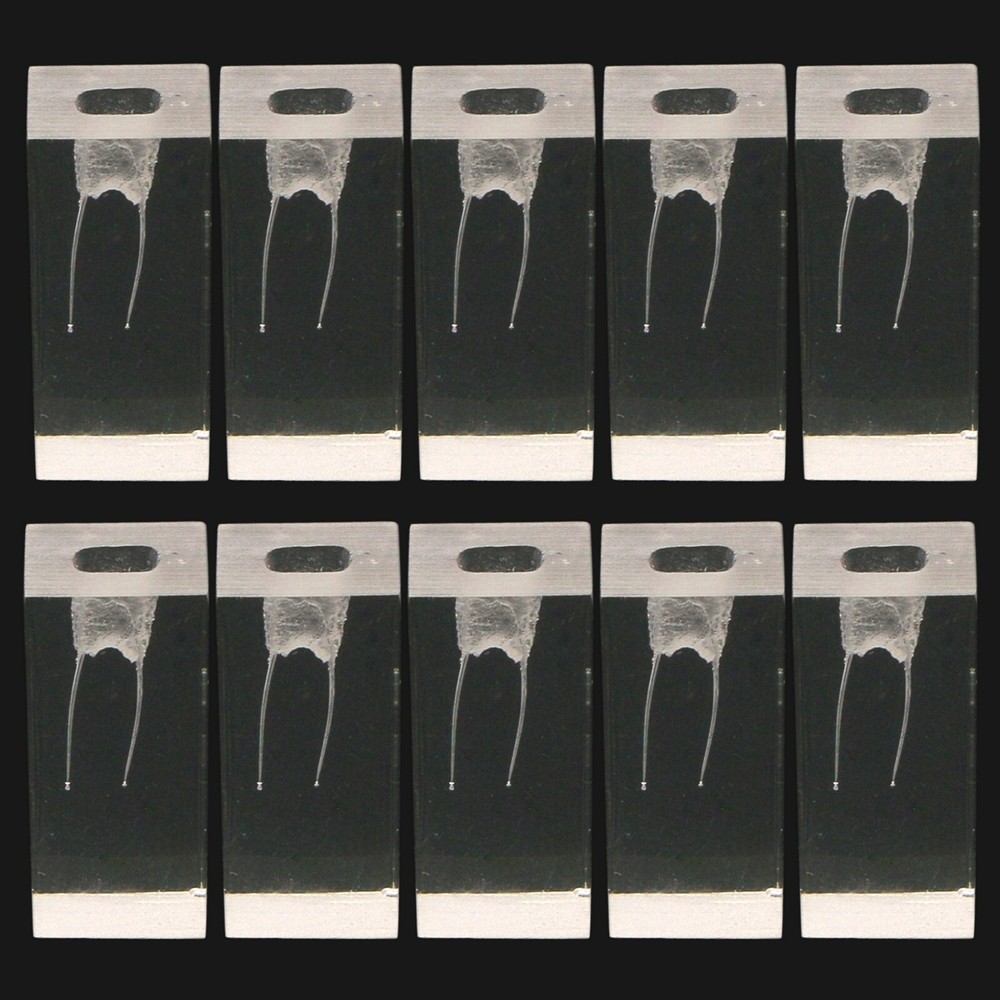 10 Pcs Dental Endodontic Root Canal Practice Model Endo Training Block Clear