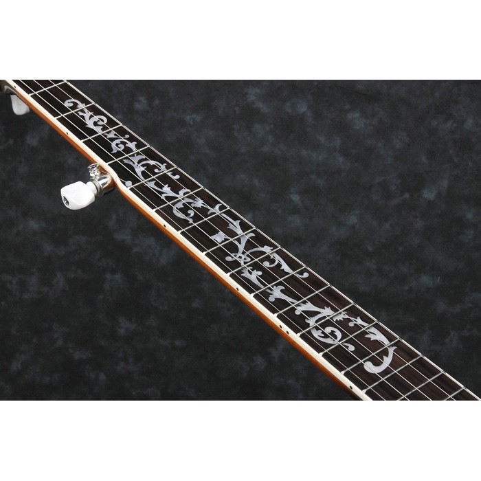 Ibanez B200 5 String Resonator Banjo