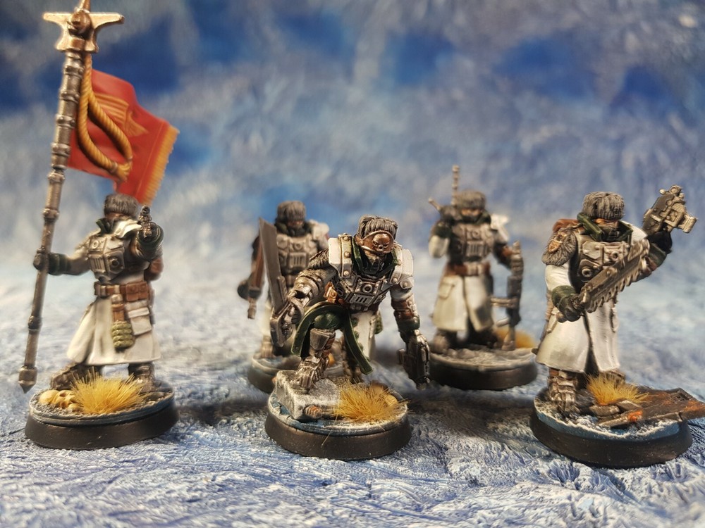 Ice Warriors Command Guard of the Imperial Force