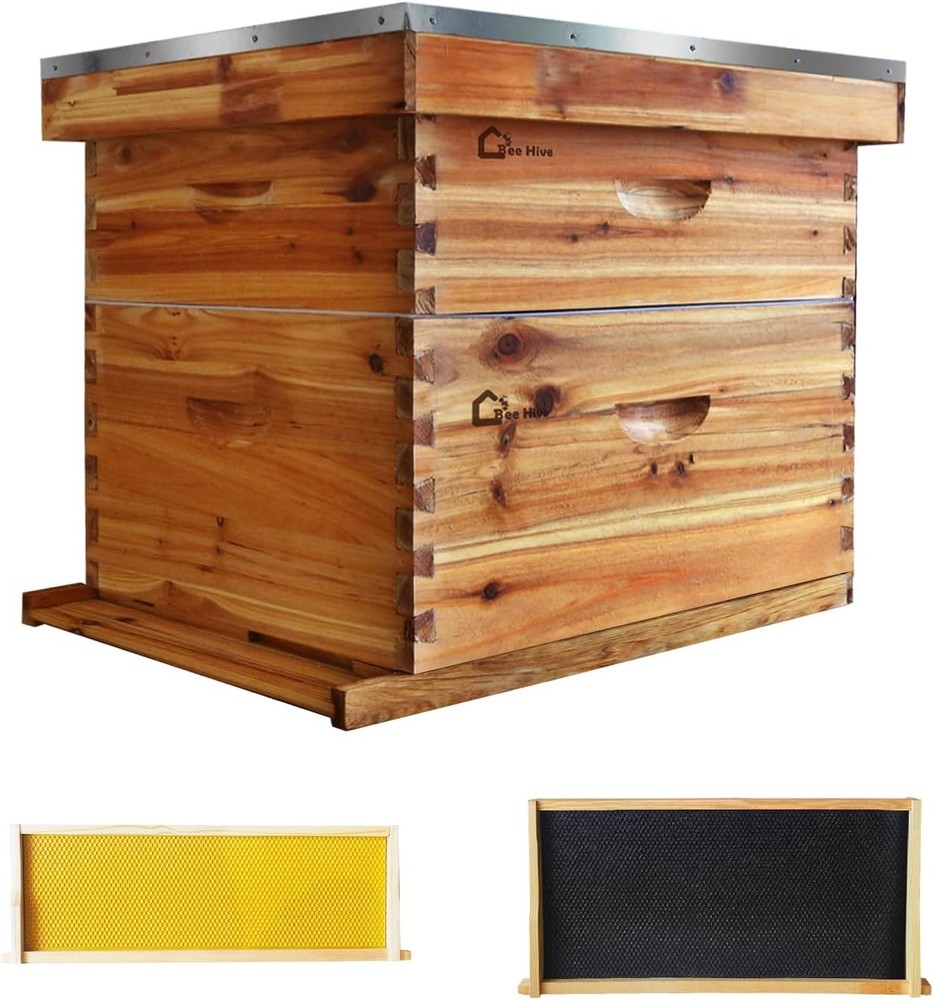 Bee Hive Langstroth Beehive Box Set 10 Deep &10 Medium Frames Wooden Beehive Box