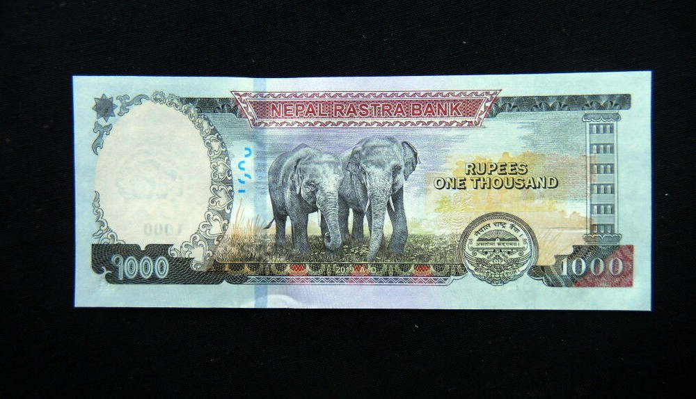 2019 NEPAL banknote 1000 Rupees UNC GEM HIGH quality consecutive