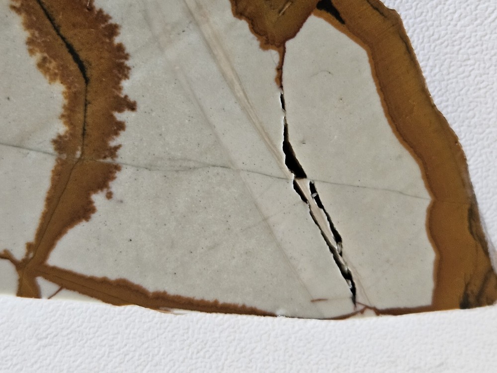 Owyhee Jasper Lapidary Slab 28 Grams