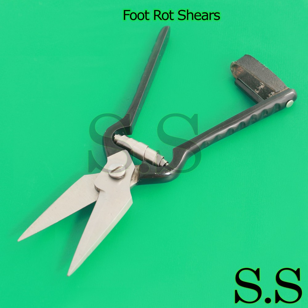 Foot Rot Shears (Black Painted) Veterinary Instruments