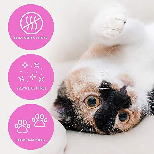 Ultra Micro Crystals Cat Litter 5 pounds Assorted Styles