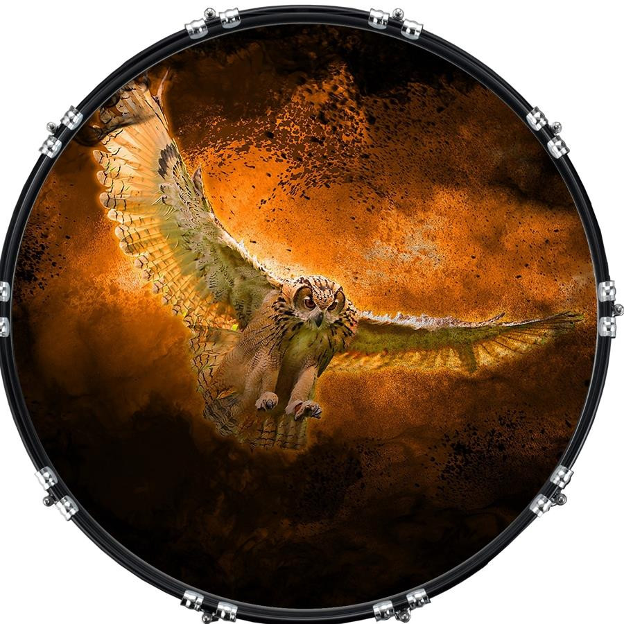 20" Custom Bass Kick Drum Front Head Graphic Graphical Owl Flight