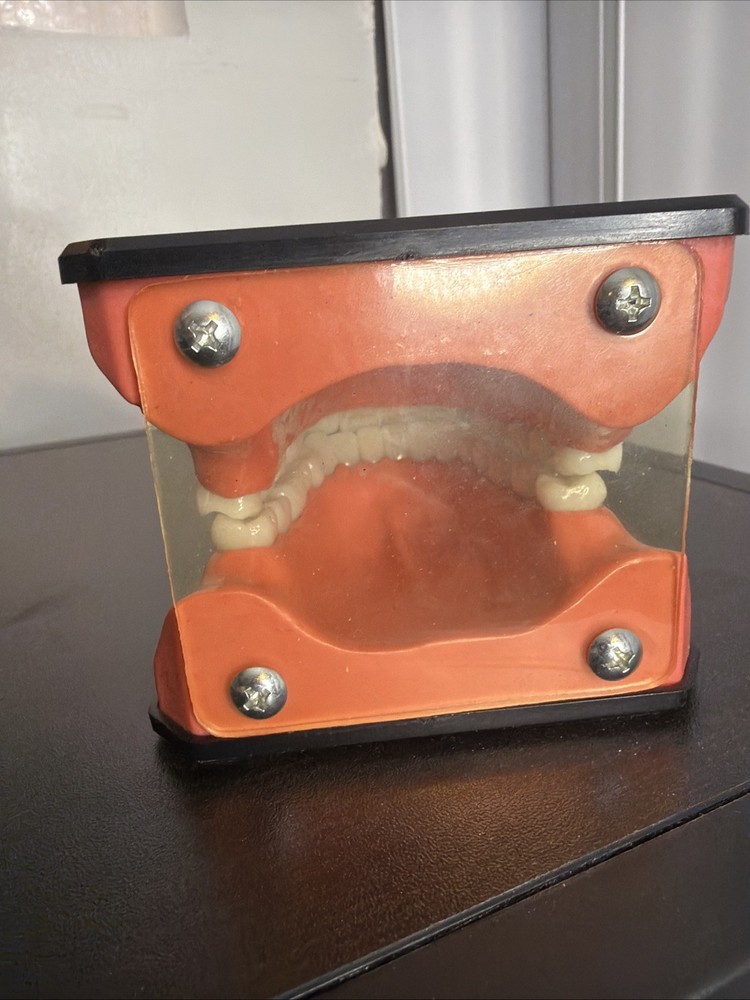 Columbia Dental Form Teeth Dentistry