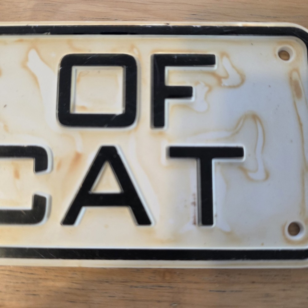 Beware of Attack Cat Sign
