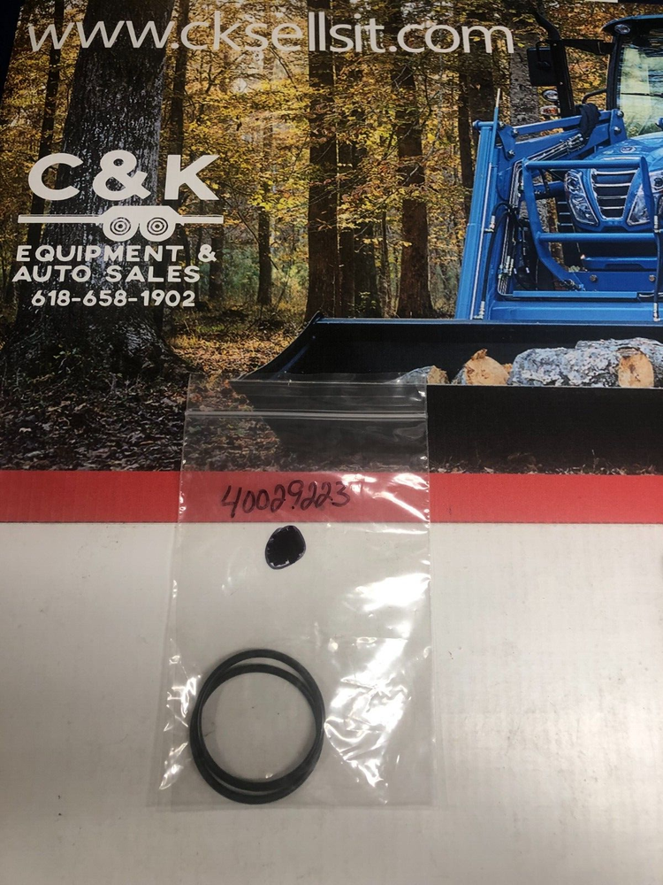 LS O-Ring 40029223