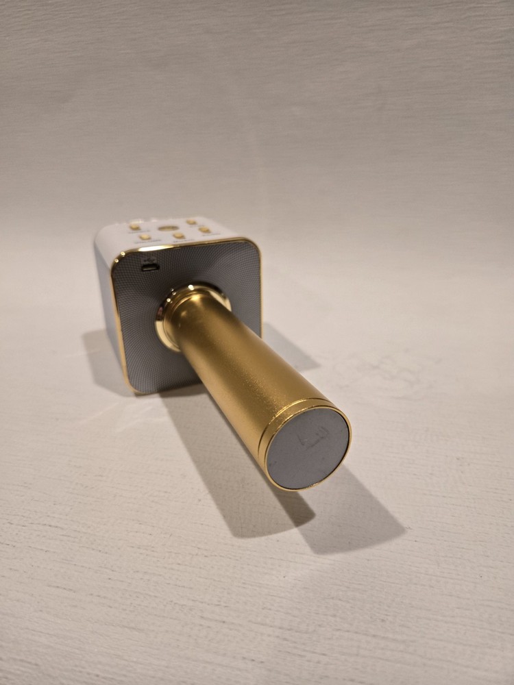 My Karaoke Pro Bluetooth 2-in-1 Wireless Microphone & Speaker 2019