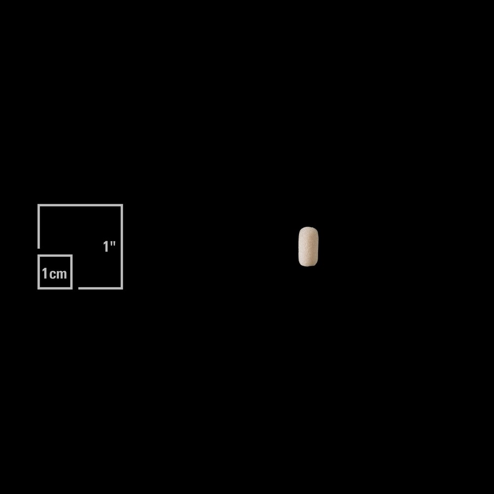 Audio-Technica AT8157 Windscreen - Tan (3-pack)