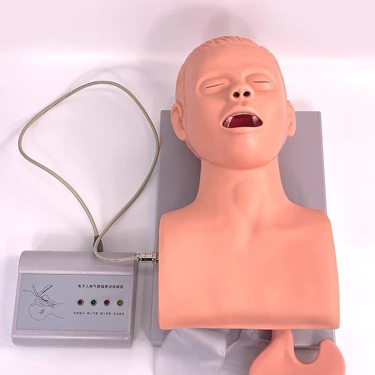 Intubation Manikin Study Teaching Model Airway Management Trainer W/Electronic