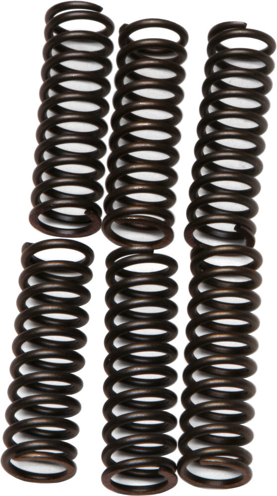 EBC CSK Clutch Spring Kit CSK17