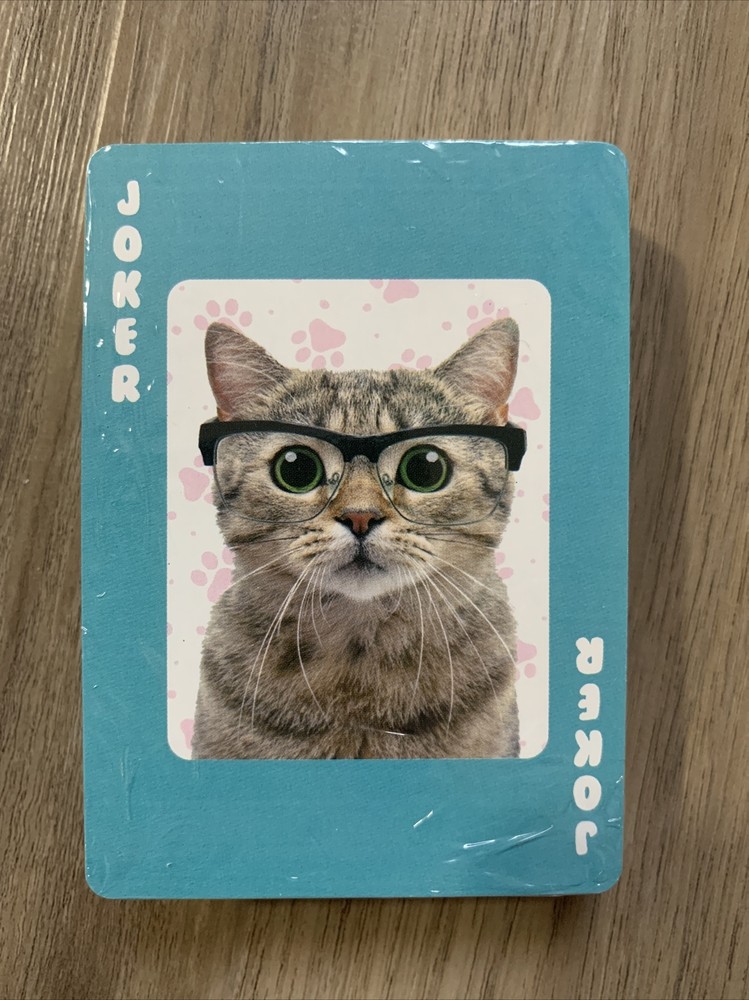 Cat Daze Playing Cards Kitten Cute Cats Standard Deck NEW
