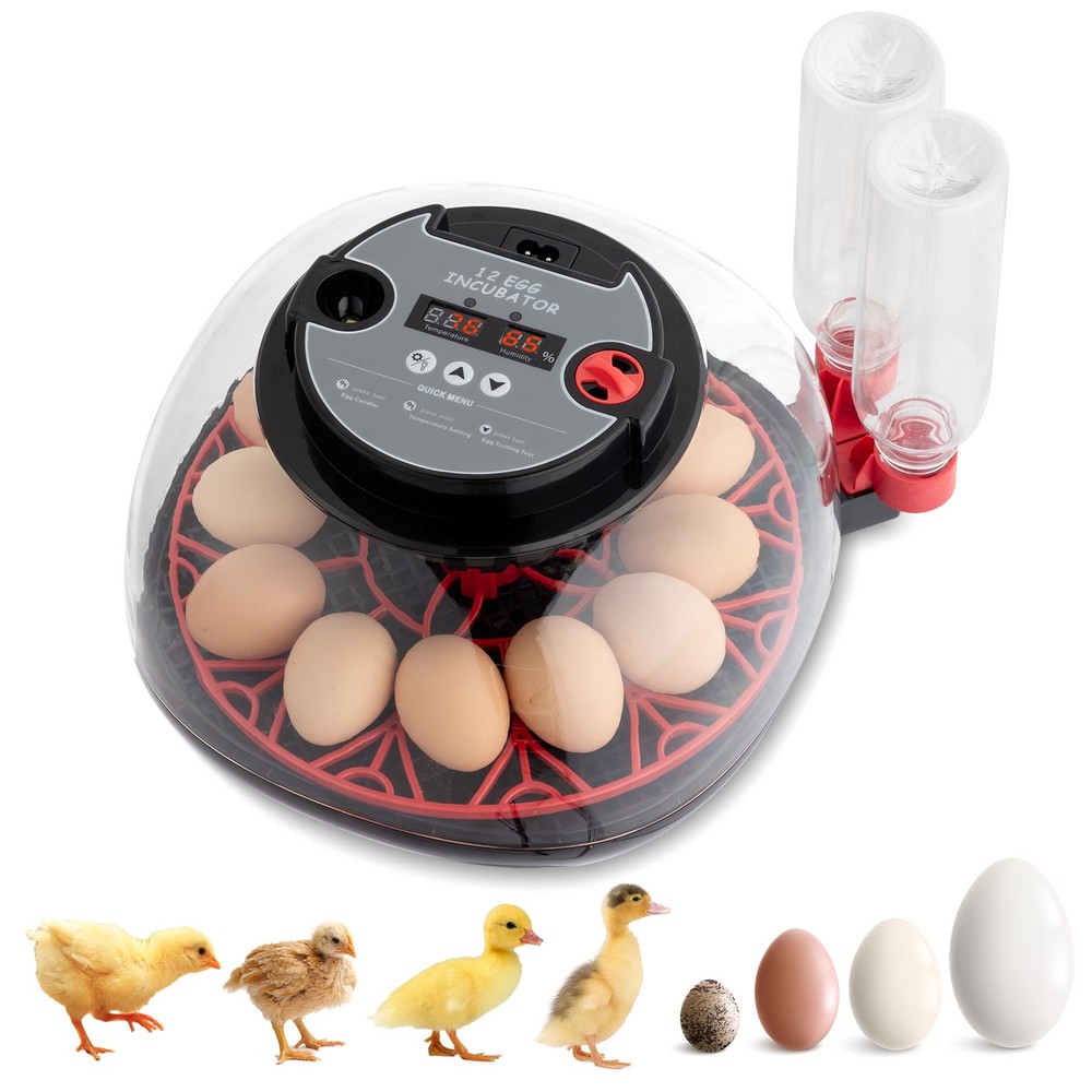12 Eggs Incubator with Humidity Display, Egg Candler, Automatic Egg Turning