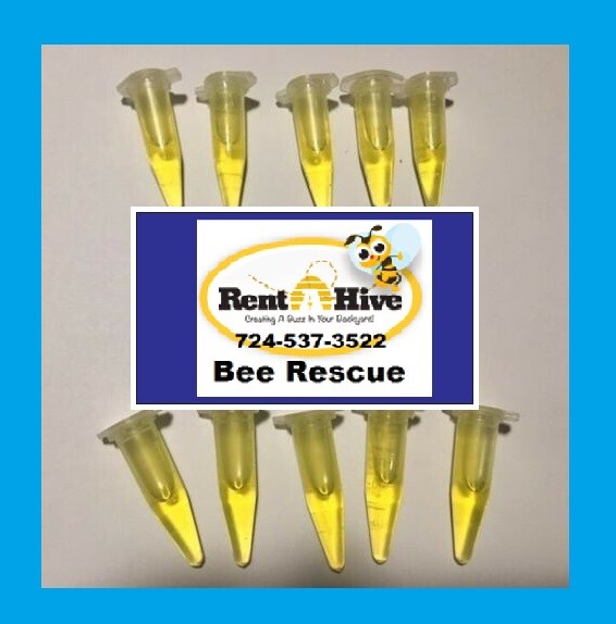 SWARM PRO Lure 25 pack