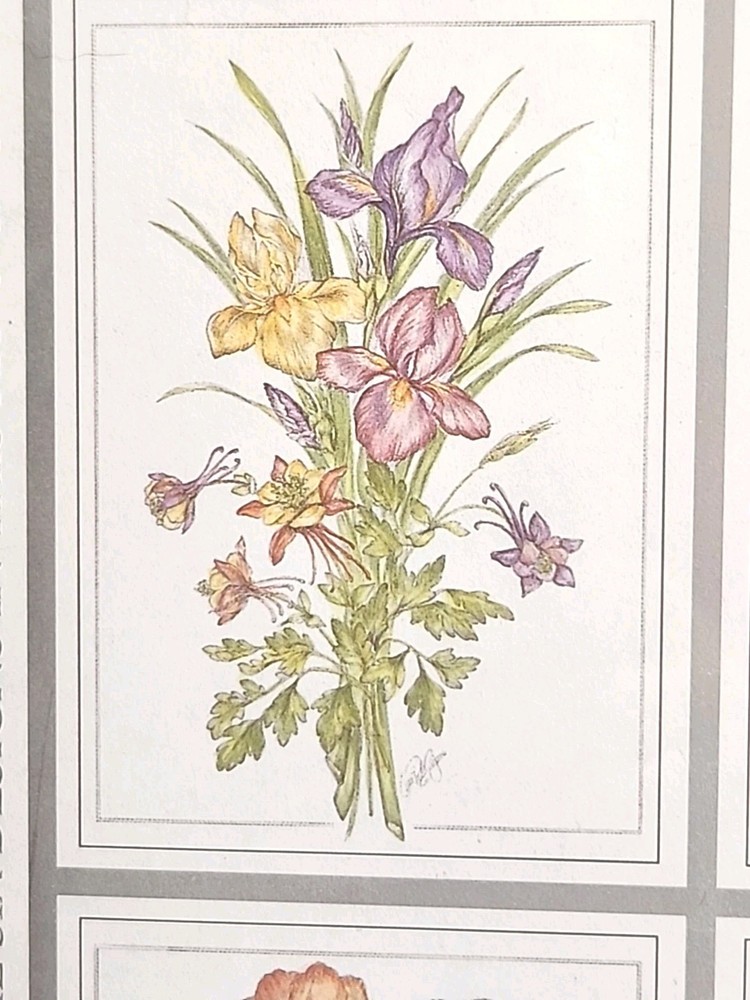 Red Farm Studio 6pc Illustrations Botanical Florals PAINTABLES Paint & Frame NEW