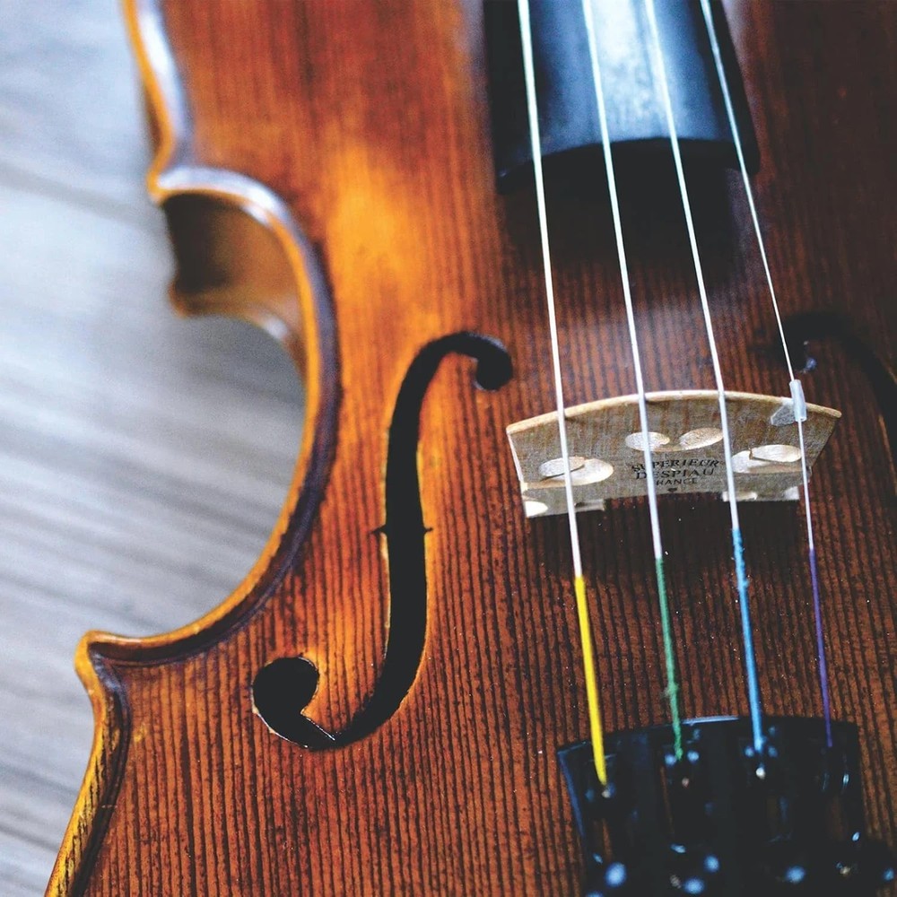 12PCS Violin Strings 4/4 Full Set Steel Core Replacement Strings