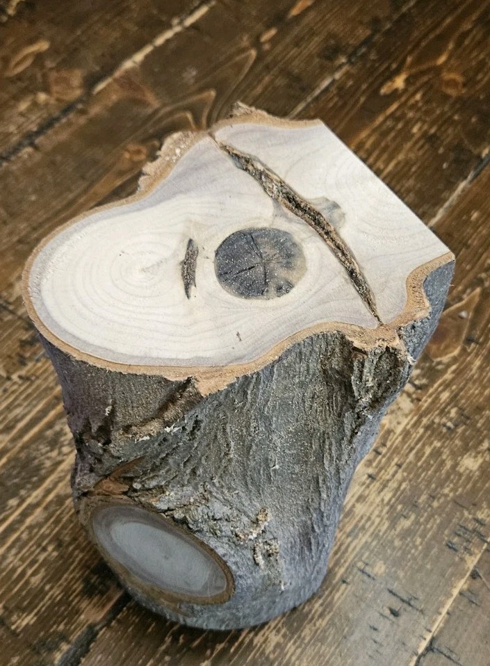 Poplar Wood Turning Crotch Log 9" Long  P99