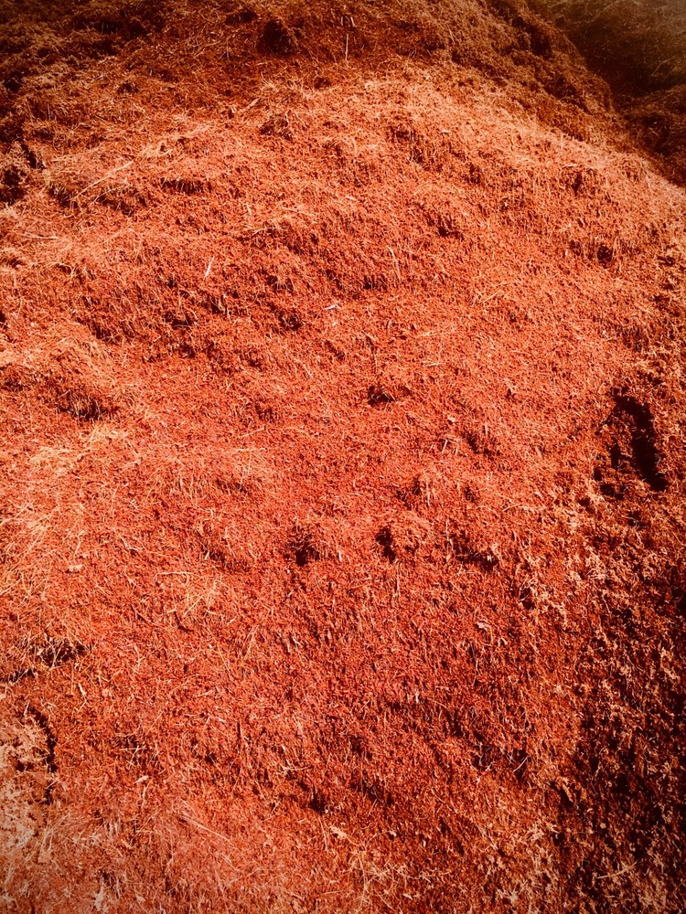 ORGANIC COMPOST HYDROPONIC GROWING MEDIA | COCO COIR COCO PEAT | 100% NATURAL