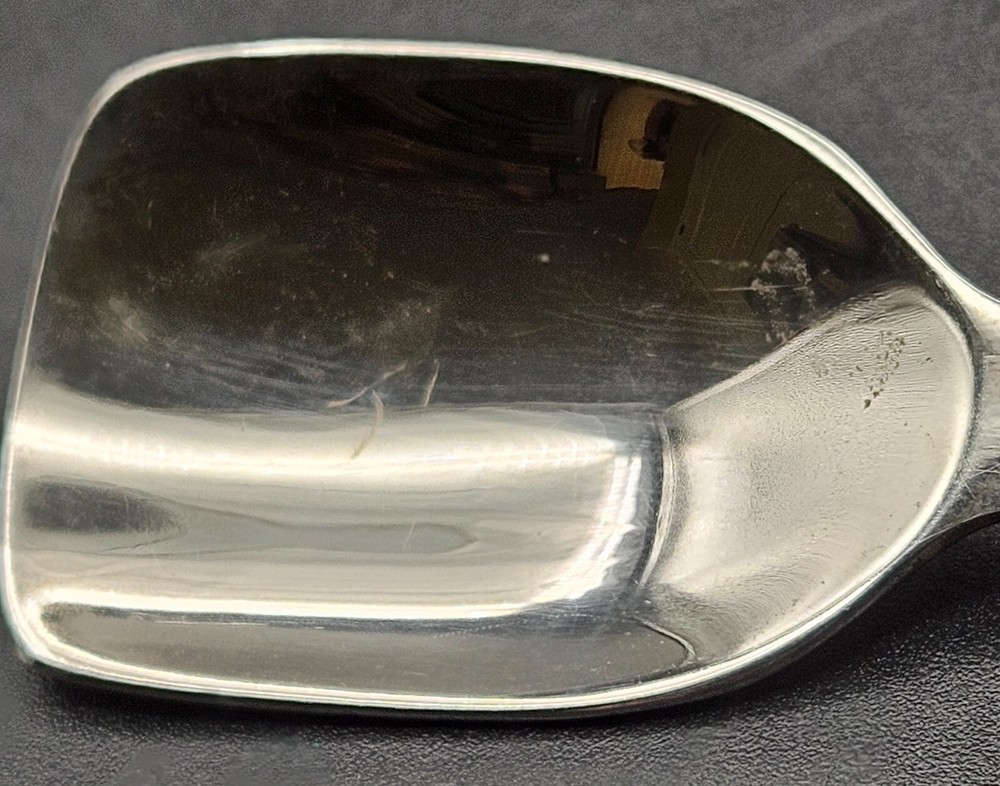 Vintage Silver Plate Tea Caddy Spoon Floral Handle 2.75"