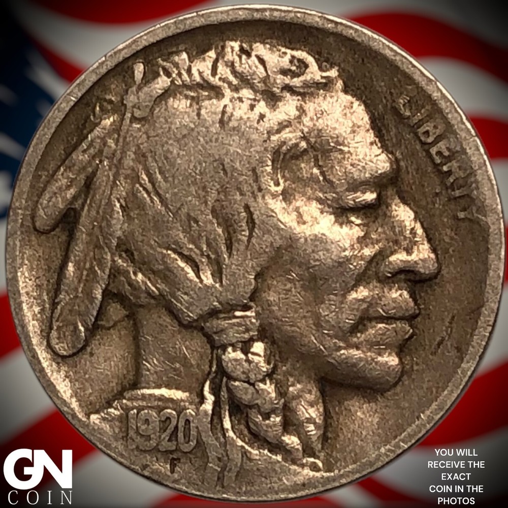 1920 D Buffalo Nickel Y6511