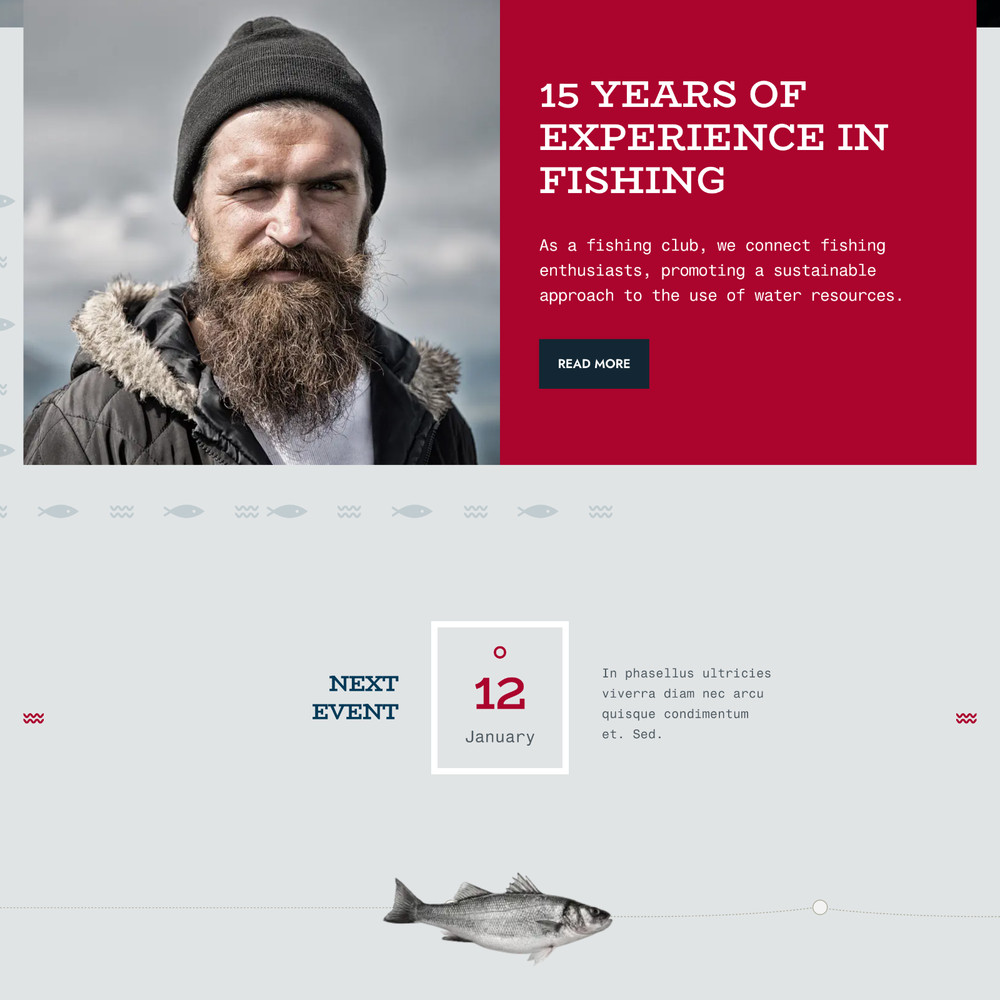 Fisher Website Design with Free VPS Web Hosting & Installation