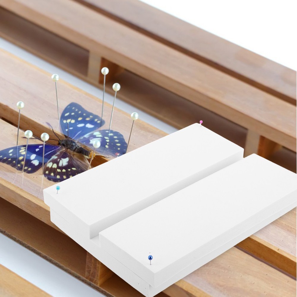 Specimen Display Board Insect Mounting Plate Butterfly Preservation