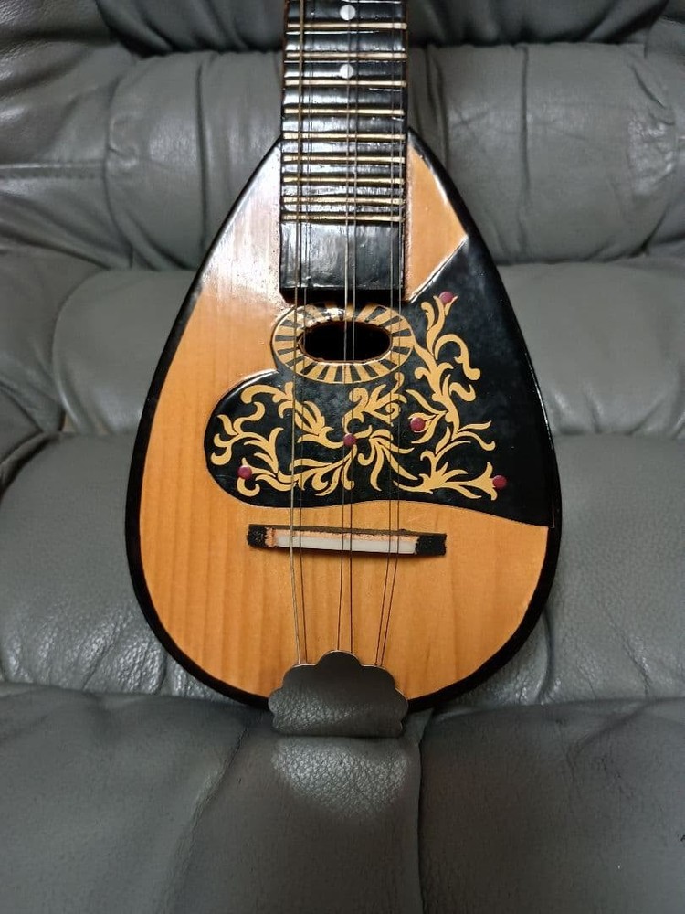 Beautiful item Rare item Flower pattern Mandolin with case