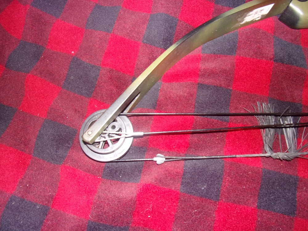 Darton WH300 Compound Bow